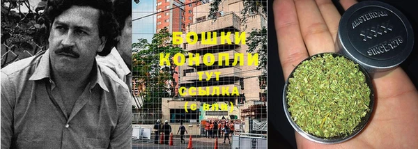 ПСИЛОЦИБИНОВЫЕ ГРИБЫ Богородицк