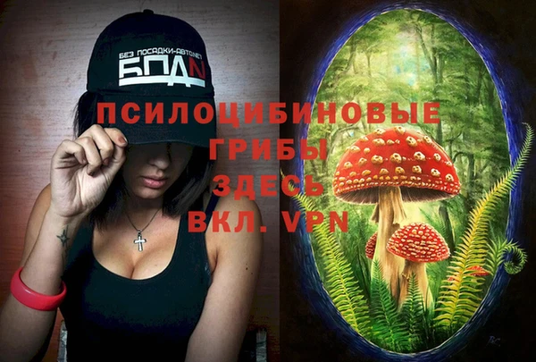 ешки Белокуриха